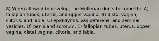 8) When allowed to develop, the Müllerian ducts become the A) fallopian tubes, uterus, and upper vagina. B) distal vagina, clitoris, and labia. C) epididymis, vas deferens, and seminal vesicles. D) penis and scrotum. E) fallopian tubes, uterus, upper vagina, distal vagina, clitoris, and labia.