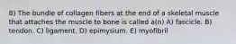 8) The bundle of collagen fibers at the end of a skeletal muscle that attaches the muscle to bone is called a(n) A) fascicle. B) tendon. C) ligament. D) epimysium. E) myofibril