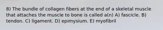 8) The bundle of collagen fibers at the end of a skeletal muscle that attaches the muscle to bone is called a(n) A) fascicle. B) tendon. C) ligament. D) epimysium. E) myofibril