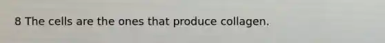 8 The cells are the ones that produce collagen.