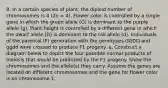 8. In a certain species of plant, the diploid number of chromosomes is 4 (2n = 4). Flower color is controlled by a single gene in which the green allele (G) is dominant to the purple allele (g). Plant height is controlled by a different gene in which the dwarf allele (D) is dominant to the tall allele (d). Individuals of the parental (P) generation with the genotypes GGDD and ggdd were crossed to produce F1 progeny. a. Construct a diagram below to depict the four possible normal products of meiosis that would be produced by the F1 progeny. Show the chromosomes and the allele(s) they carry. Assume the genes are located on different chromosomes and the gene for flower color is on chromosome 1.