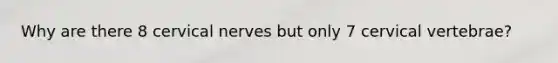 Why are there 8 cervical nerves but only 7 cervical vertebrae?