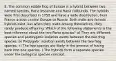 8. The common edible frog of Europe is a hybrid between two named species, Rana lessonae and Rana ridibunda. The hybrids were first described in 1758 and have a wide distribution, from France across central Europe to Russia. Both male and female hybrids exist, but when they mate among themselves, they rarely produce offspring. Which of the following statements is the best inference about the two Rana species? a) They are different species and postzygotic isolation exists between the two frog species. b) Prezygotic isolation exists between the two frog species. c) The two species are likely in the process of fusing back into one species. ) The hybrids form a separate species under the biological species concept.