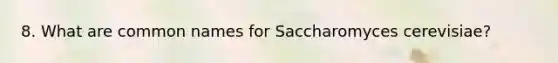 8. What are common names for Saccharomyces cerevisiae?