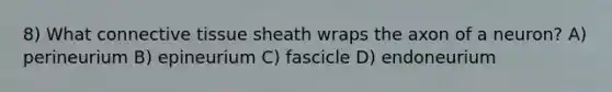 8) What connective tissue sheath wraps the axon of a neuron? A) perineurium B) epineurium C) fascicle D) endoneurium