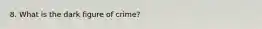 8. What is the dark figure of crime?