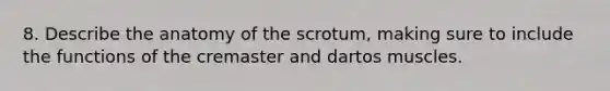 8. Describe the anatomy of the scrotum, making sure to include the functions of the cremaster and dartos muscles.