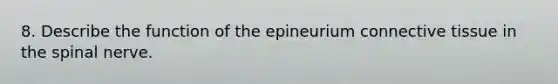 8. Describe the function of the epineurium connective tissue in the spinal nerve.