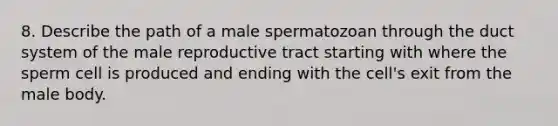 8. Describe the path of a male spermatozoan through the duct system of the male reproductive tract starting with where the sperm cell is produced and ending with the cell's exit from the male body.