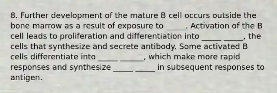 8. Further development of the mature B cell occurs outside the bone marrow as a result of exposure to _____. Activation of the B cell leads to proliferation and differentiation into _____ _____, the cells that synthesize and secrete antibody. Some activated B cells differentiate into _____ ______, which make more rapid responses and synthesize _____ _____ in subsequent responses to antigen.