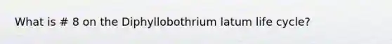 What is # 8 on the Diphyllobothrium latum life cycle?