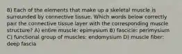 8) Each of the elements that make up a skeletal muscle is surrounded by connective tissue. Which words below correctly pair the connective tissue layer with the corresponding muscle structure? A) entire muscle: epimysium B) fascicle: perimysium C) functional group of muscles: endomysium D) muscle fiber: deep fascia