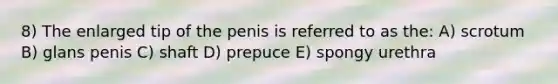 8) The enlarged tip of the penis is referred to as the: A) scrotum B) glans penis C) shaft D) prepuce E) spongy urethra