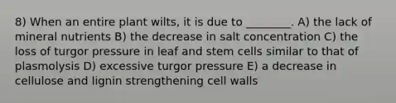 8) When an entire plant wilts, it is due to ________. A) the lack of mineral nutrients B) the decrease in salt concentration C) the loss of turgor pressure in leaf and stem cells similar to that of plasmolysis D) excessive turgor pressure E) a decrease in cellulose and lignin strengthening cell walls