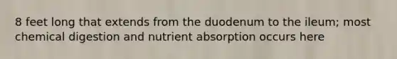 8 feet long that extends from the duodenum to the ileum; most chemical digestion and nutrient absorption occurs here