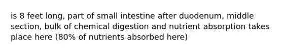 is 8 feet long, part of small intestine after duodenum, middle section, bulk of chemical digestion and nutrient absorption takes place here (80% of nutrients absorbed here)