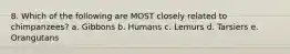 8. Which of the following are MOST closely related to chimpanzees? a. Gibbons b. Humans c. Lemurs d. Tarsiers e. Orangutans