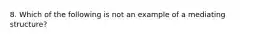 8. Which of the following is not an example of a mediating structure?