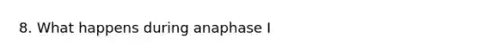 8. What happens during anaphase I