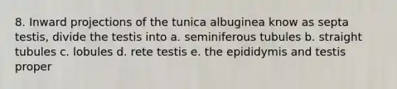 8. Inward projections of the tunica albuginea know as septa testis, divide the testis into a. seminiferous tubules b. straight tubules c. lobules d. rete testis e. the epididymis and testis proper