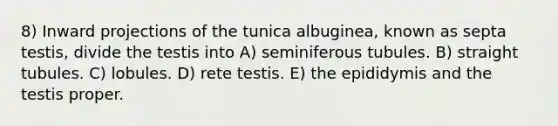 8) Inward projections of the tunica albuginea, known as septa testis, divide the testis into A) seminiferous tubules. B) straight tubules. C) lobules. D) rete testis. E) the epididymis and the testis proper.