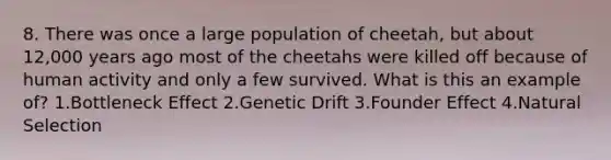 8. There was once a large population of cheetah, but about 12,000 years ago most of the cheetahs were killed off because of human activity and only a few survived. What is this an example of? 1.Bottleneck Effect 2.Genetic Drift 3.Founder Effect 4.Natural Selection