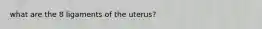 what are the 8 ligaments of the uterus?