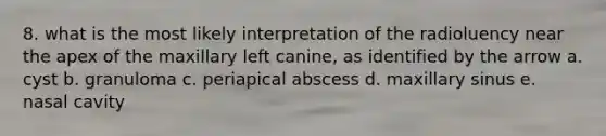 8. what is the most likely interpretation of the radioluency near the apex of the maxillary left canine, as identified by the arrow a. cyst b. granuloma c. periapical abscess d. maxillary sinus e. nasal cavity