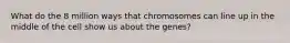 What do the 8 million ways that chromosomes can line up in the middle of the cell show us about the genes?