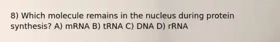 8) Which molecule remains in the nucleus during protein synthesis? A) mRNA B) tRNA C) DNA D) rRNA