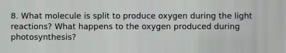 8. What molecule is split to produce oxygen during the light reactions? What happens to the oxygen produced during photosynthesis?