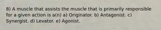 8) A muscle that assists the muscle that is primarily responsible for a given action is a(n) a) Originator. b) Antagonist. c) Synergist. d) Levator. e) Agonist.