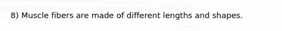 8) Muscle fibers are made of different lengths and shapes.