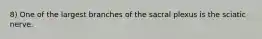 8) One of the largest branches of the sacral plexus is the sciatic nerve.