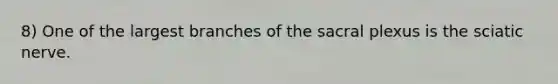 8) One of the largest branches of the sacral plexus is the sciatic nerve.