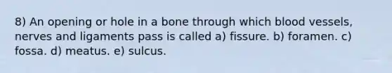 8) An opening or hole in a bone through which <a href='https://www.questionai.com/knowledge/kZJ3mNKN7P-blood-vessels' class='anchor-knowledge'>blood vessels</a>, nerves and ligaments pass is called a) fissure. b) foramen. c) fossa. d) meatus. e) sulcus.