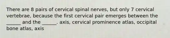 There are 8 pairs of cervical spinal nerves, but only 7 cervical vertebrae, because the first cervical pair emerges between the ______ and the ______. axis, cervical prominence atlas, occipital bone atlas, axis