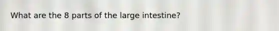 What are the 8 parts of the large intestine?