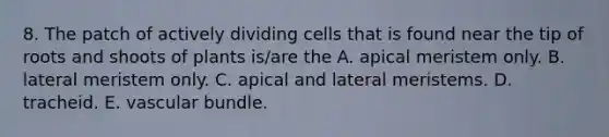 8. The patch of actively dividing cells that is found near the tip of roots and shoots of plants is/are the A. apical meristem only. B. lateral meristem only. C. apical and lateral meristems. D. tracheid. E. vascular bundle.