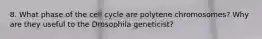 8. What phase of the cell cycle are polytene chromosomes? Why are they useful to the Drosophila geneticist?