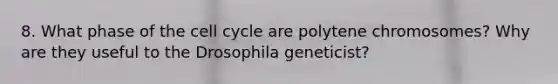 8. What phase of the cell cycle are polytene chromosomes? Why are they useful to the Drosophila geneticist?