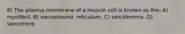 8) The plasma membrane of a muscle cell is known as the: A) myofibril. B) sarcoplasmic reticulum. C) sarcolemma. D) sarcomere.