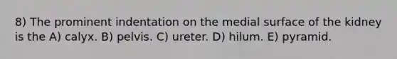 8) The prominent indentation on the medial surface of the kidney is the A) calyx. B) pelvis. C) ureter. D) hilum. E) pyramid.