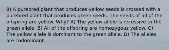 8) A purebred plant that produces yellow seeds is crossed with a purebred plant that produces green seeds. The seeds of all of the offspring are yellow. Why? A) The yellow allele is recessive to the green allele. B) All of the offspring are homozygous yellow. C) The yellow allele is dominant to the green allele. D) The alleles are codominant.