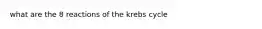 what are the 8 reactions of the krebs cycle