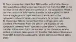 8) Once researchers identified DNA as the unit of inheritance, they asked how information was transferred from the DNA in the nucleus to the site of protein synthesis in the cytoplasm. What is the mechanism of information transfer in eukaryotes? A) DNA from a single gene is replicated and transferred to the cytoplasm, where it serves as a template for protein synthesis. B) Messenger RNA is transcribed from a single gene and transfers information from the DNA in the nucleus to the cytoplasm, where protein synthesis takes place. C) Proteins transfer information from the nucleus to the ribosome, where protein synthesis takes place. D) Transfer RNA takes information from DNA directly to a ribosome, where protein synthesis takes place.