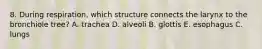 8. During respiration, which structure connects the larynx to the bronchiole tree? A. trachea D. alveoli B. glottis E. esophagus C. lungs