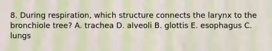 8. During respiration, which structure connects the larynx to the bronchiole tree? A. trachea D. alveoli B. glottis E. esophagus C. lungs