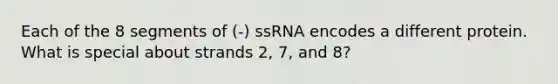 Each of the 8 segments of (-) ssRNA encodes a different protein. What is special about strands 2, 7, and 8?