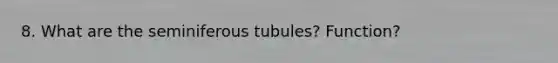 8. What are the seminiferous tubules? Function?